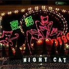 ҹ؈NIGHT CAT
